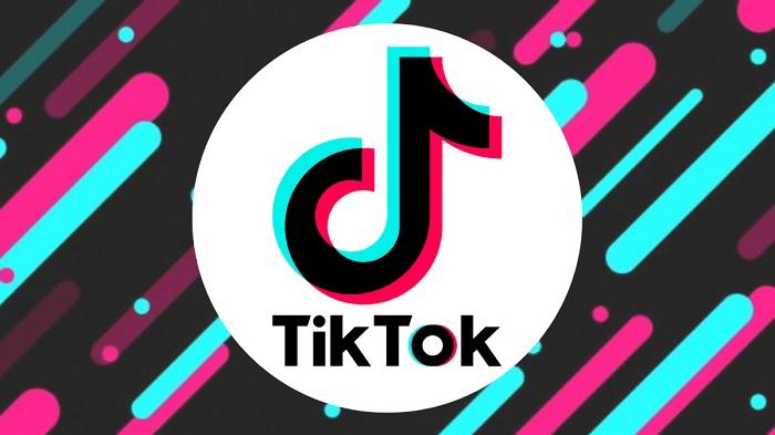 TikTok Video Downloader APK para Android